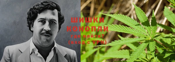 бошки Алзамай