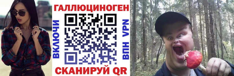 hydra ссылка  Циолковский  Галлюциногенные грибы Cubensis 